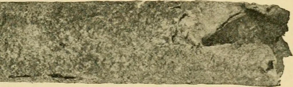 An illustration from The Locomotive, 1867, leaf 40