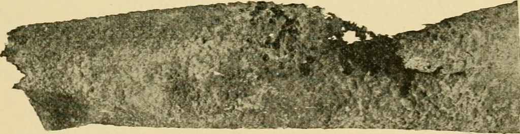 An illustration from The Locomotive, 1867, leaf 40
