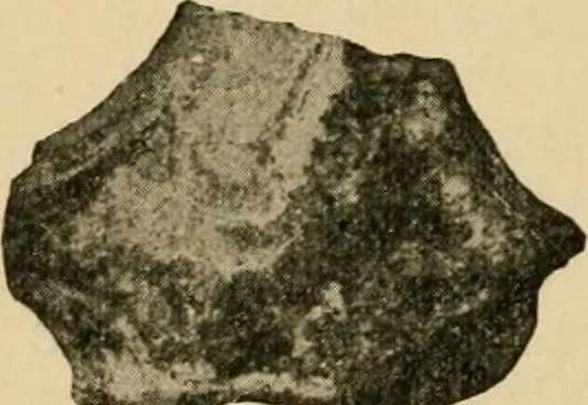 An illustration from The Locomotive, 1867, leaf 43