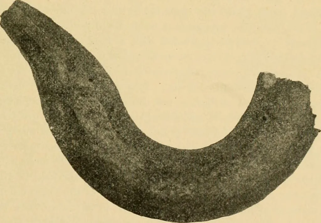 An illustration from The Locomotive, 1867, leaf 8