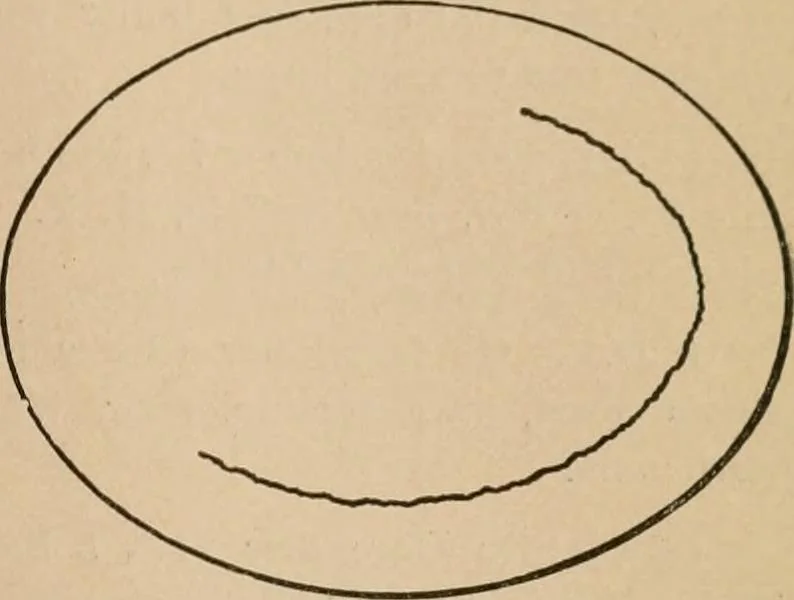 An illustration from The Locomotive, 1867, leaf 40