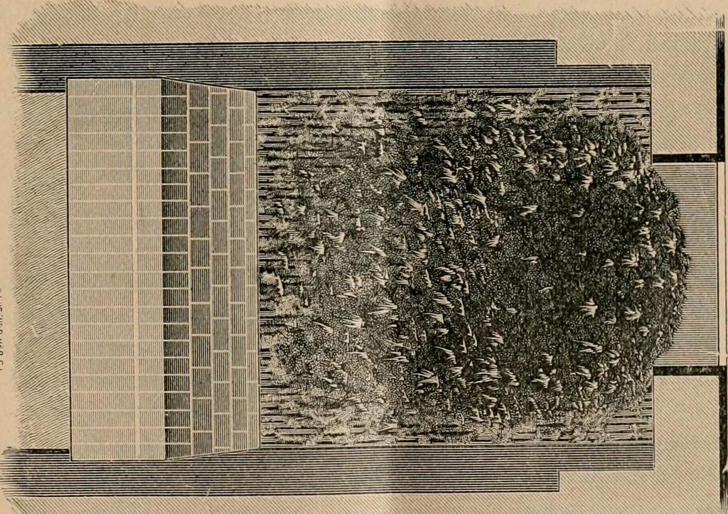 An illustration from The Locomotive, 1867, leaf 156