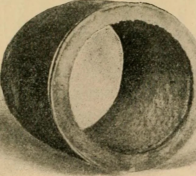 An illustration from The Locomotive, 1867, leaf 59