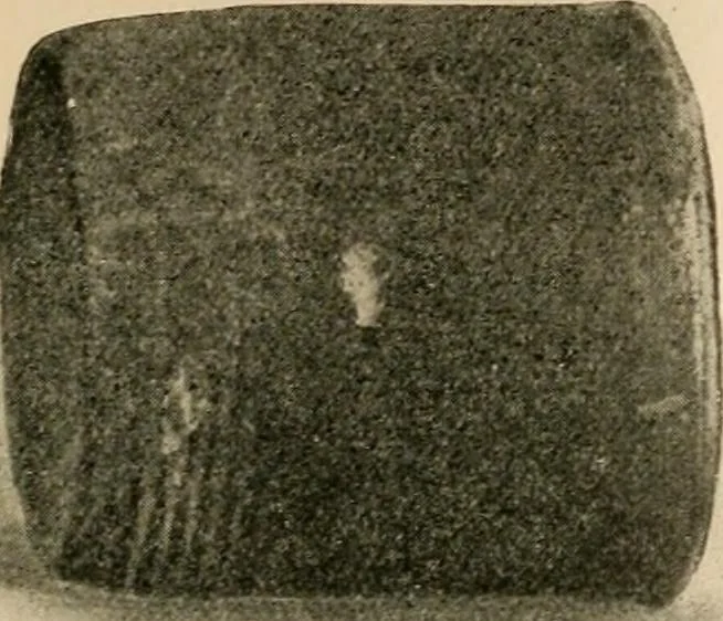 An illustration from The Locomotive, 1867, leaf 59