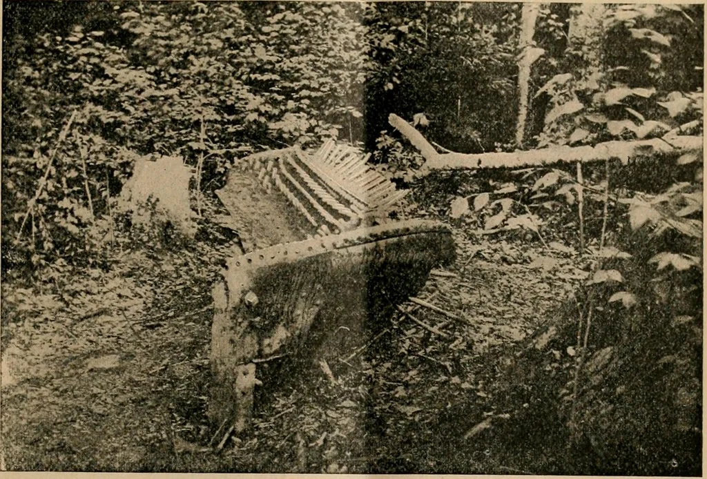 An illustration from The Locomotive, 1867, leaf 92