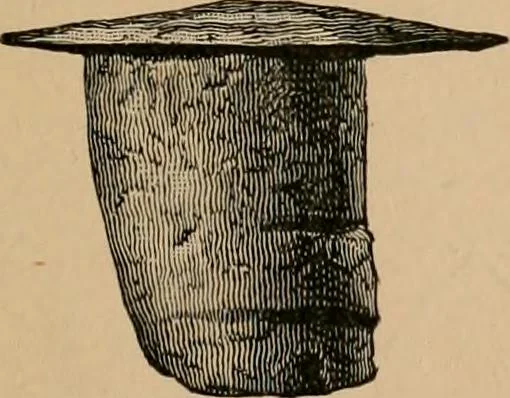 An illustration from The Locomotive, 1867, leaf 26