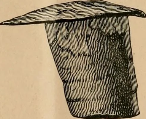An illustration from The Locomotive, 1867, leaf 26