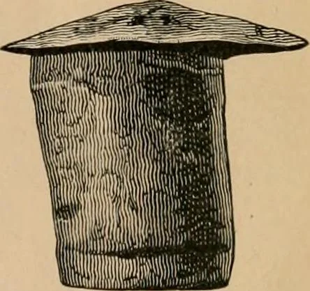 An illustration from The Locomotive, 1867, leaf 26