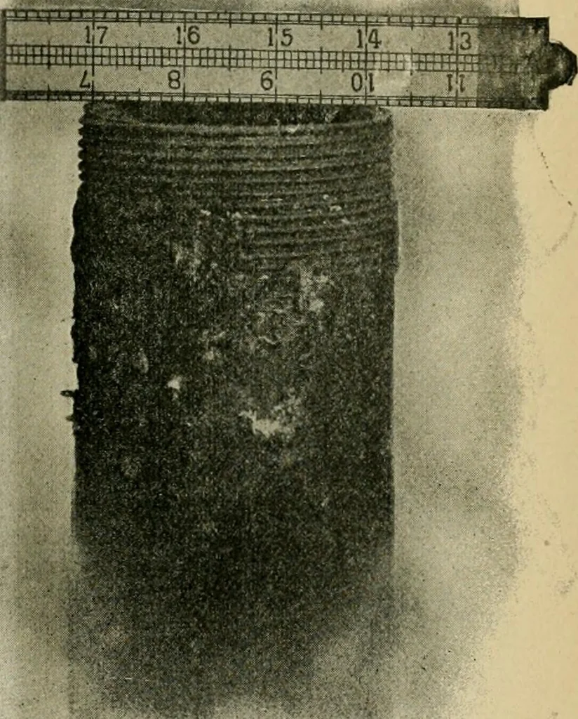 An illustration from The Locomotive, 1867, leaf 142