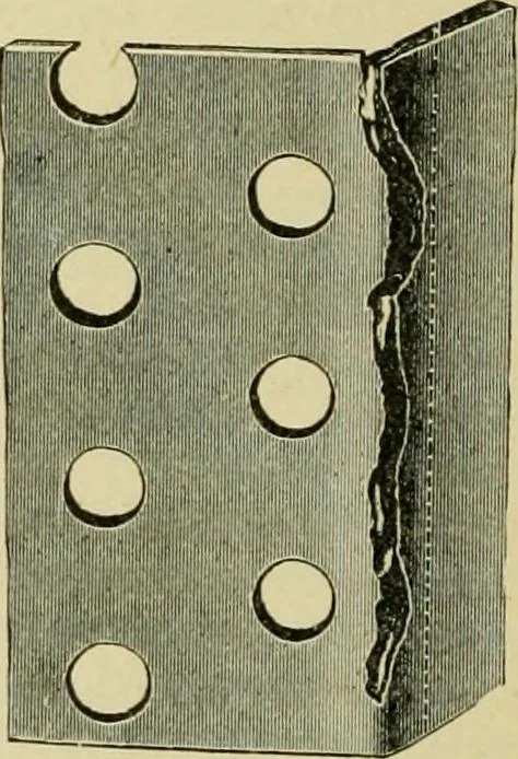 An illustration from The Locomotive, 1867, leaf 171