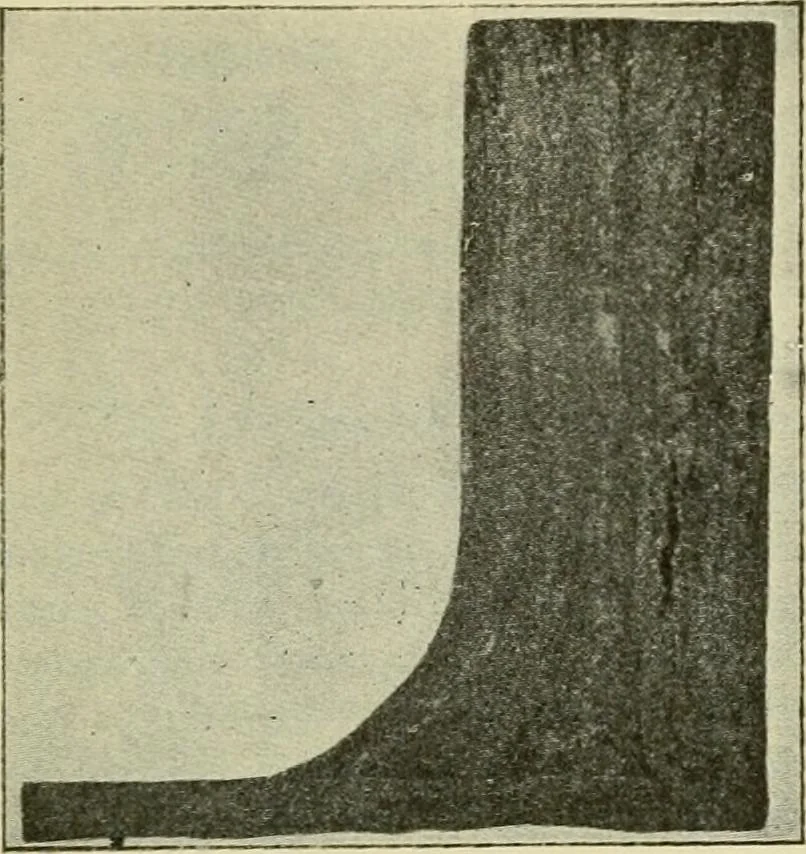 An illustration from The Locomotive, 1867, leaf 233