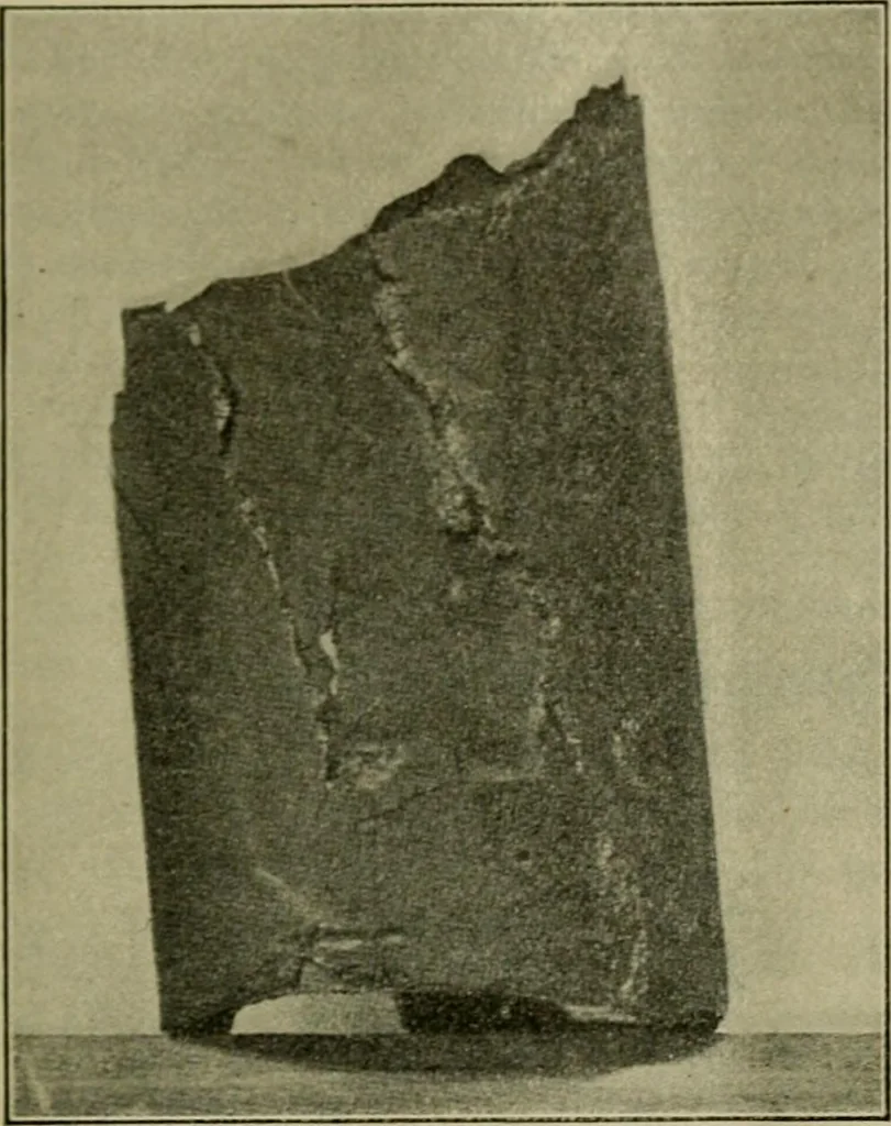 An illustration from The Locomotive, 1867, leaf 498