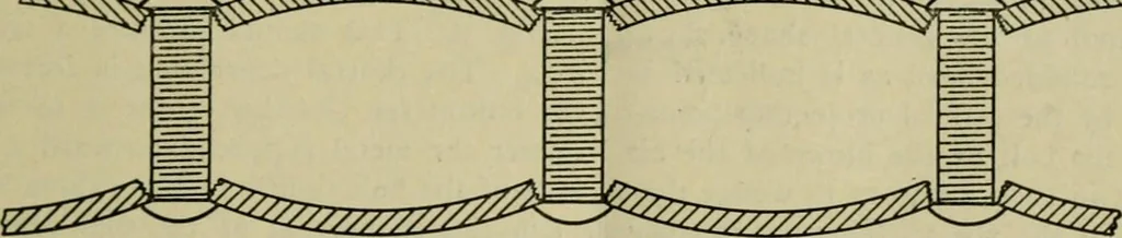 An illustration from The Locomotive, 1867, leaf 16