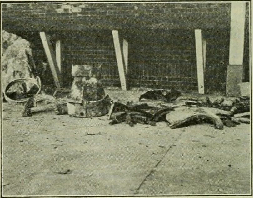 An illustration from The Locomotive, 1867, leaf 217