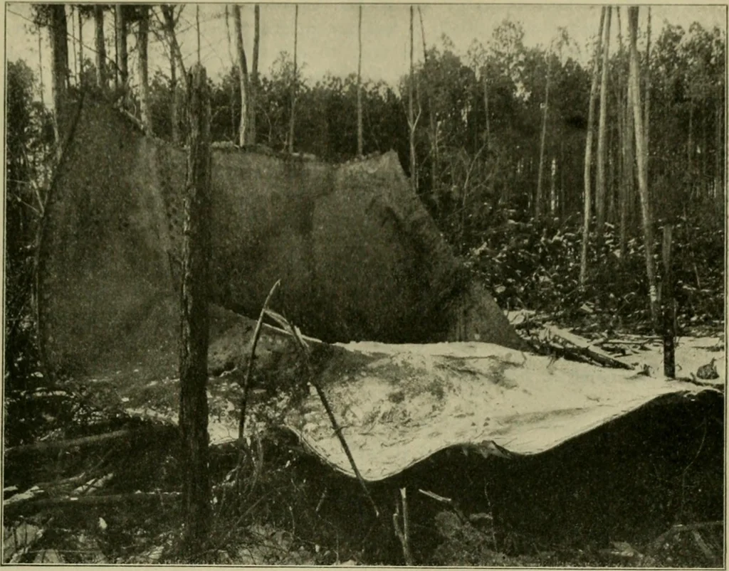 An illustration from The Locomotive, 1867, leaf 312