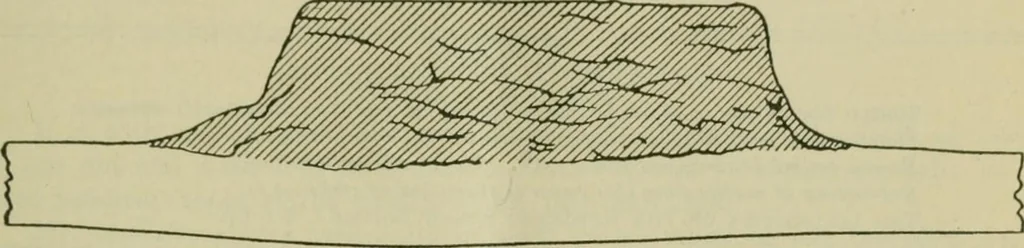 An illustration from The Locomotive, 1867, leaf 394