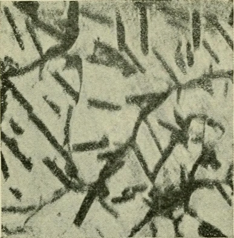 An illustration from The Locomotive, 1867, leaf 411