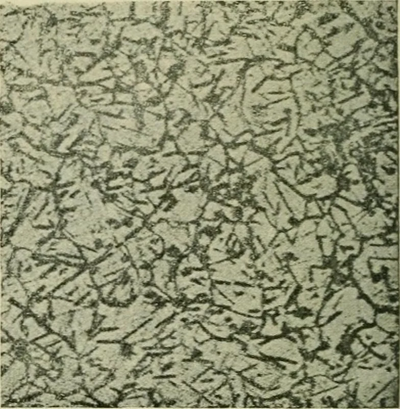 An illustration from The Locomotive, 1867, leaf 411