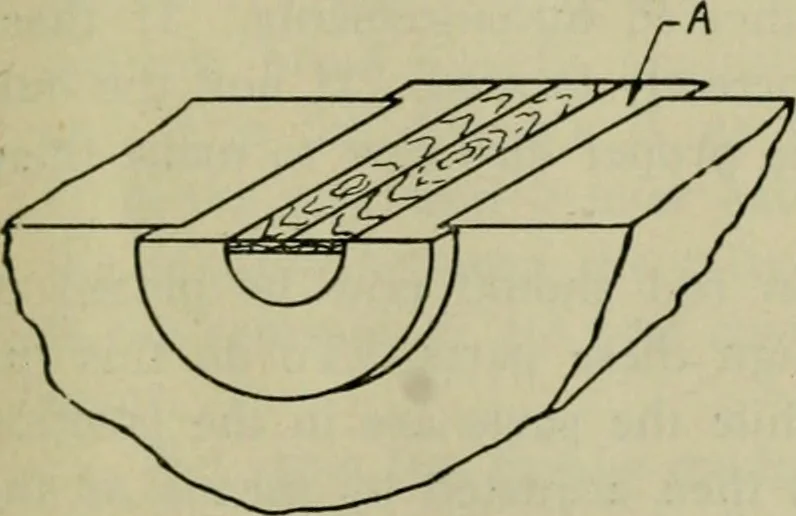 An illustration from The Locomotive, 1867, leaf 480