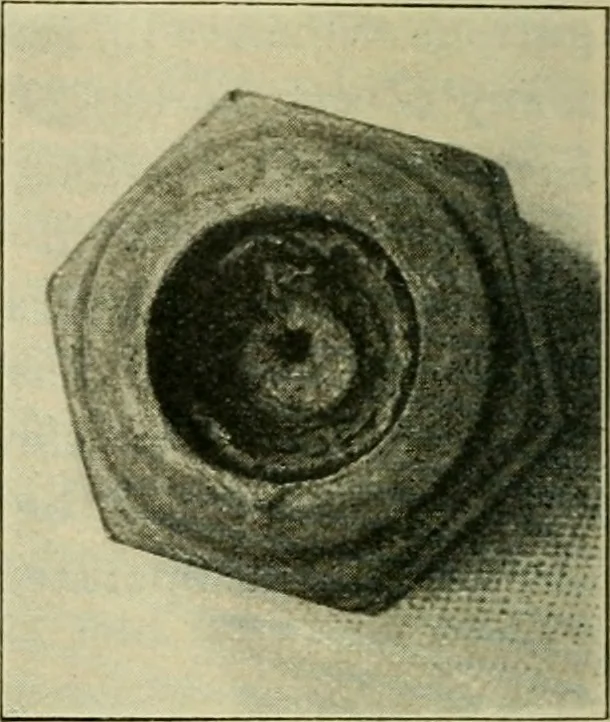 An illustration from The Locomotive, 1867, leaf 55