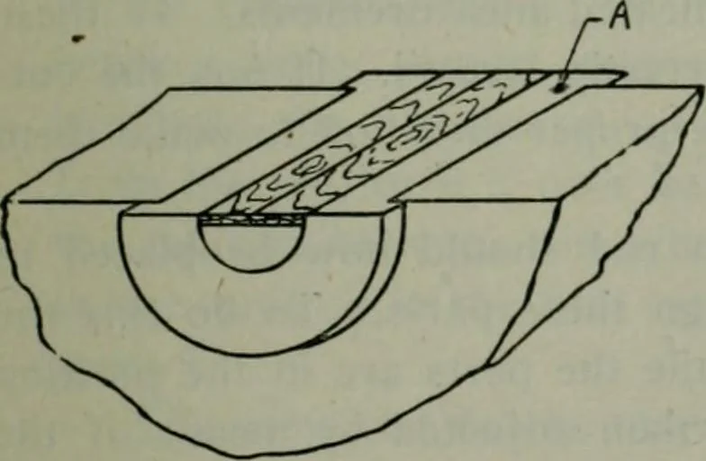 An illustration from The Locomotive, 1867, leaf 218