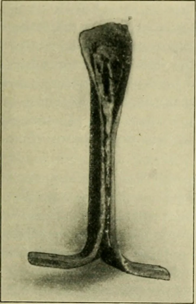 An illustration from The Locomotive, 1867, leaf 148