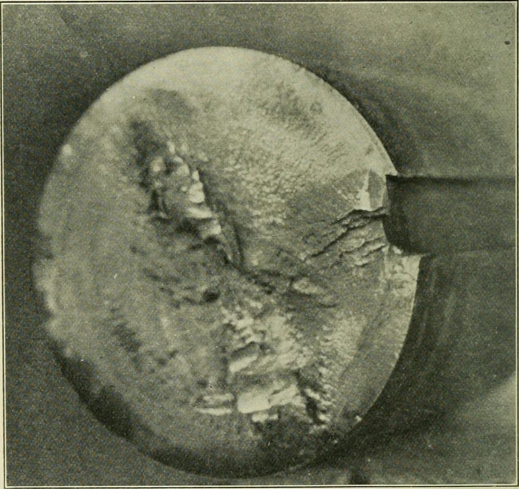 An illustration from The Locomotive, 1867, leaf 175