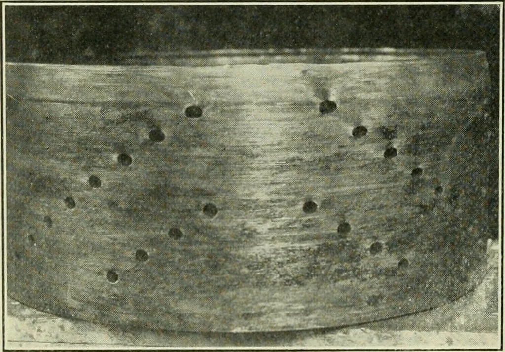 An illustration from The Locomotive, 1867, leaf 309