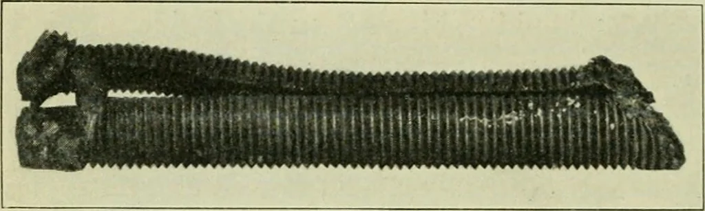 An illustration from The Locomotive, 1867, leaf 59