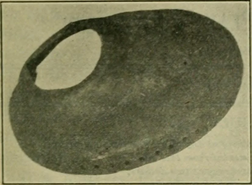 An illustration from The Locomotive, 1867, leaf 94