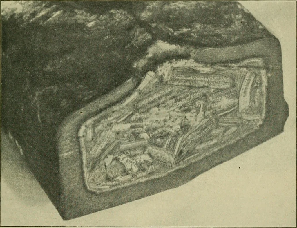 An illustration from The Locomotive, 1867, leaf 188