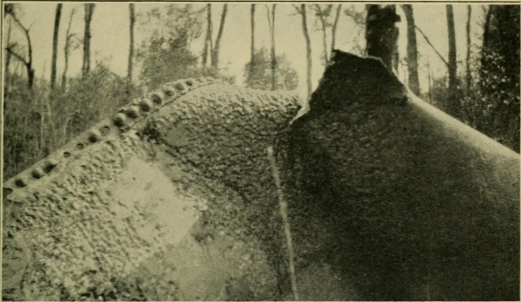 An illustration from The Locomotive, 1867, leaf 444
