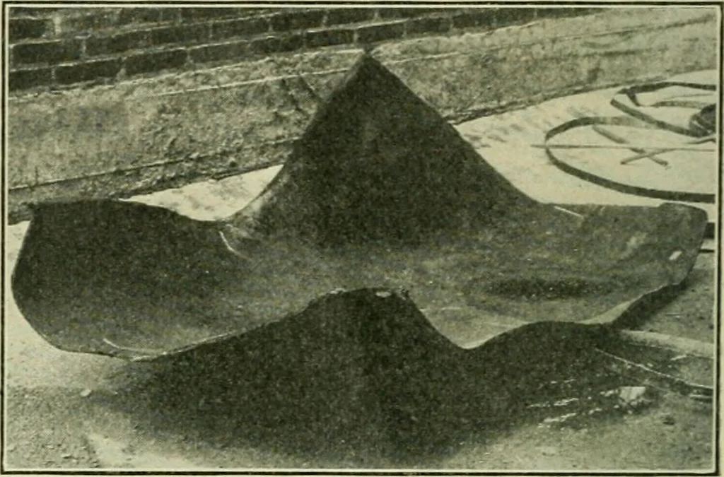 An illustration from The Locomotive, 1867, leaf 89