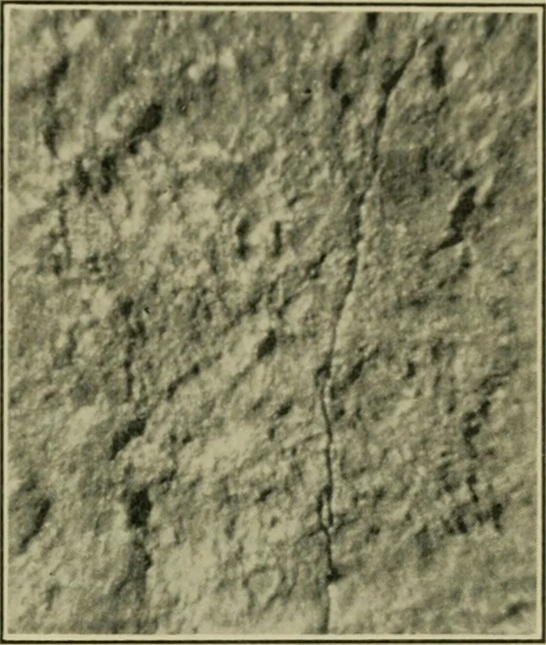 An illustration from The Locomotive, 1867, leaf 144