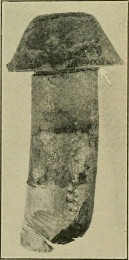 An illustration from The Locomotive, 1867, leaf 150