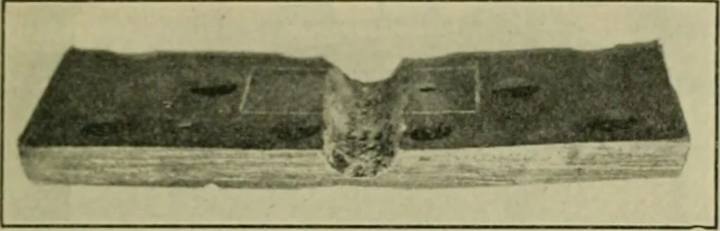 An illustration from The Locomotive, 1867, leaf 214