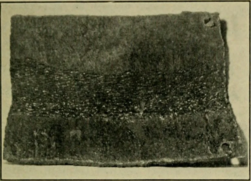 An illustration from The Locomotive, 1867, leaf 216