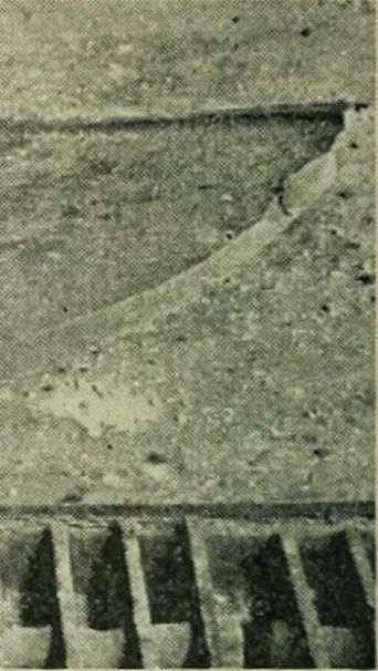 An illustration from The Locomotive, 1867, leaf 25