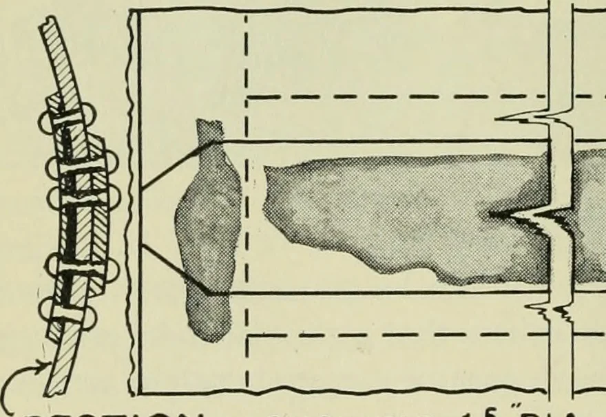 An illustration from The Locomotive, 1867, leaf 27