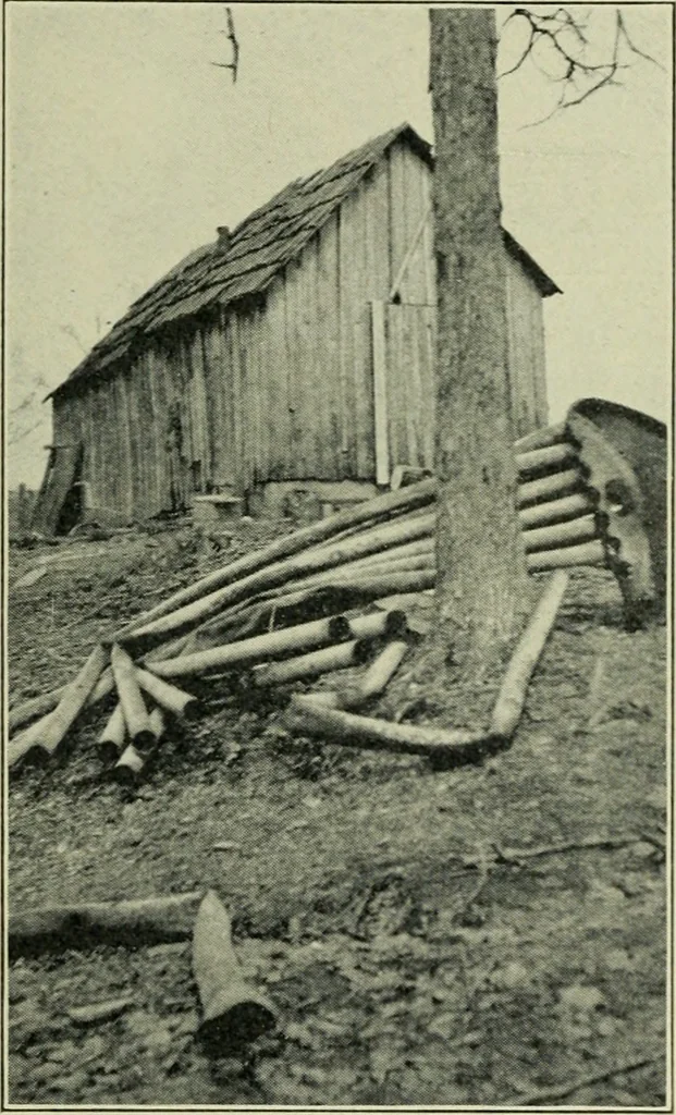 An illustration from The Locomotive, 1867, leaf 313