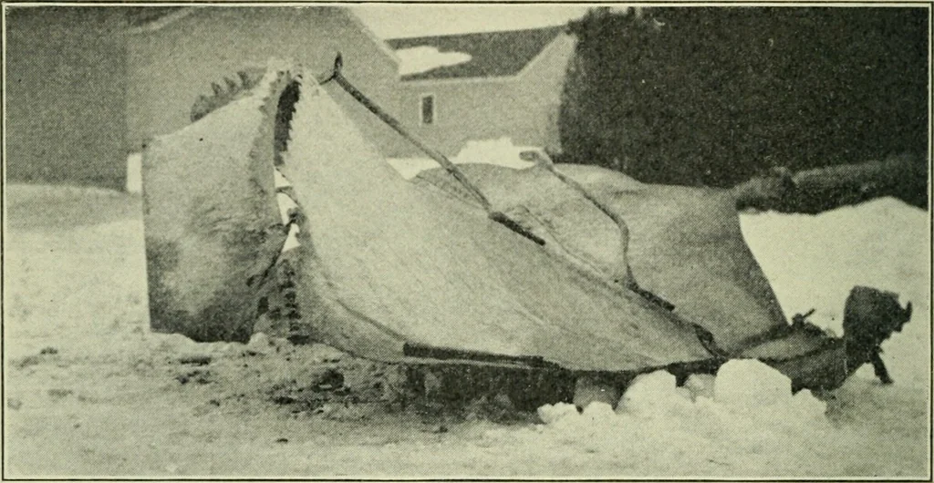 An illustration from The Locomotive, 1867, leaf 315