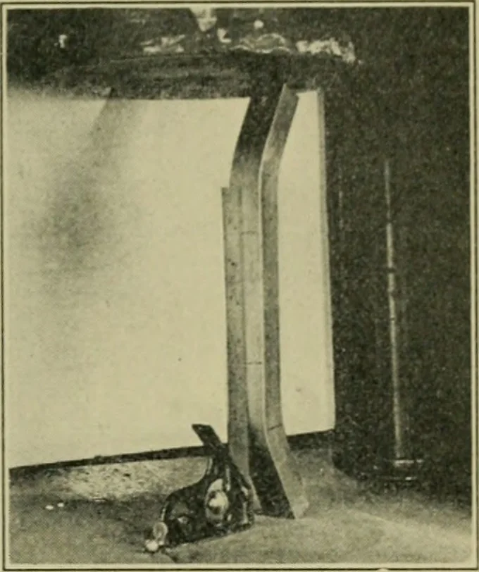 An illustration from The Locomotive, 1867, leaf 348