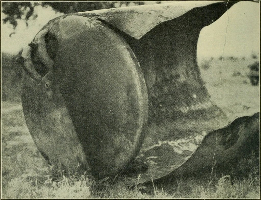 An illustration from The Locomotive, 1867, leaf 383