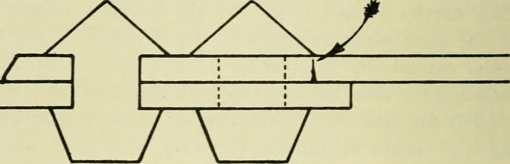 An illustration from The Locomotive, 1867, leaf 389