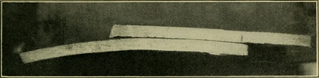 An illustration from The Locomotive, 1867, leaf 390