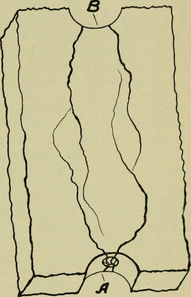 An illustration from The Locomotive, 1867, leaf 480