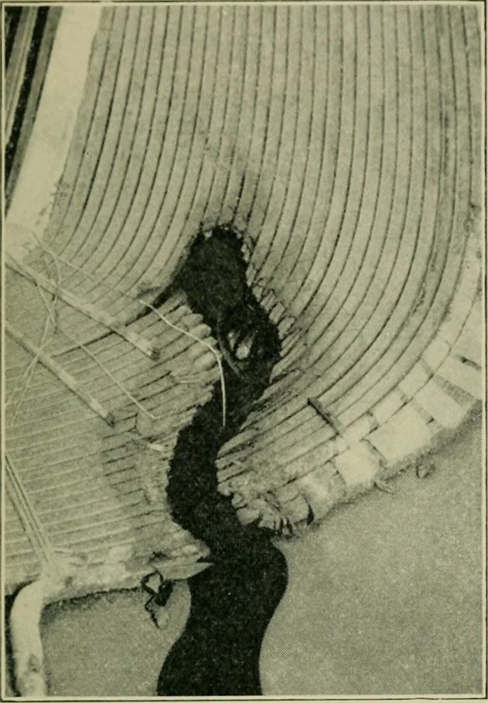An illustration from The Locomotive, 1867, leaf 96