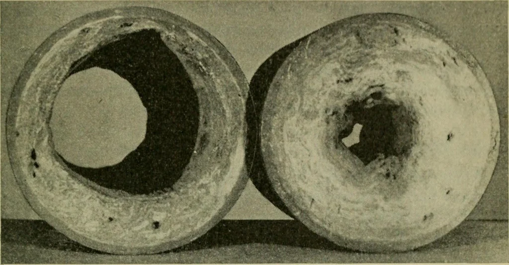 An illustration from The Locomotive, 1867, leaf 148