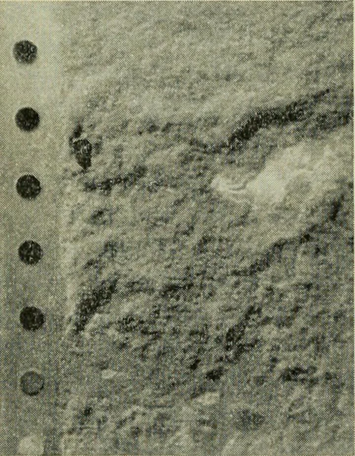 An illustration from The Locomotive, 1867, leaf 151