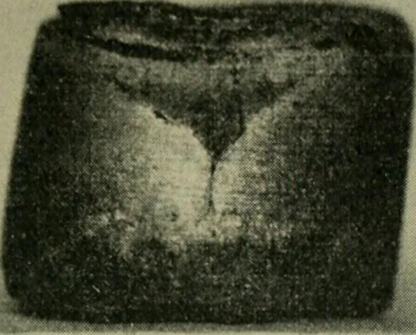 An illustration from The Locomotive, 1867, leaf 282